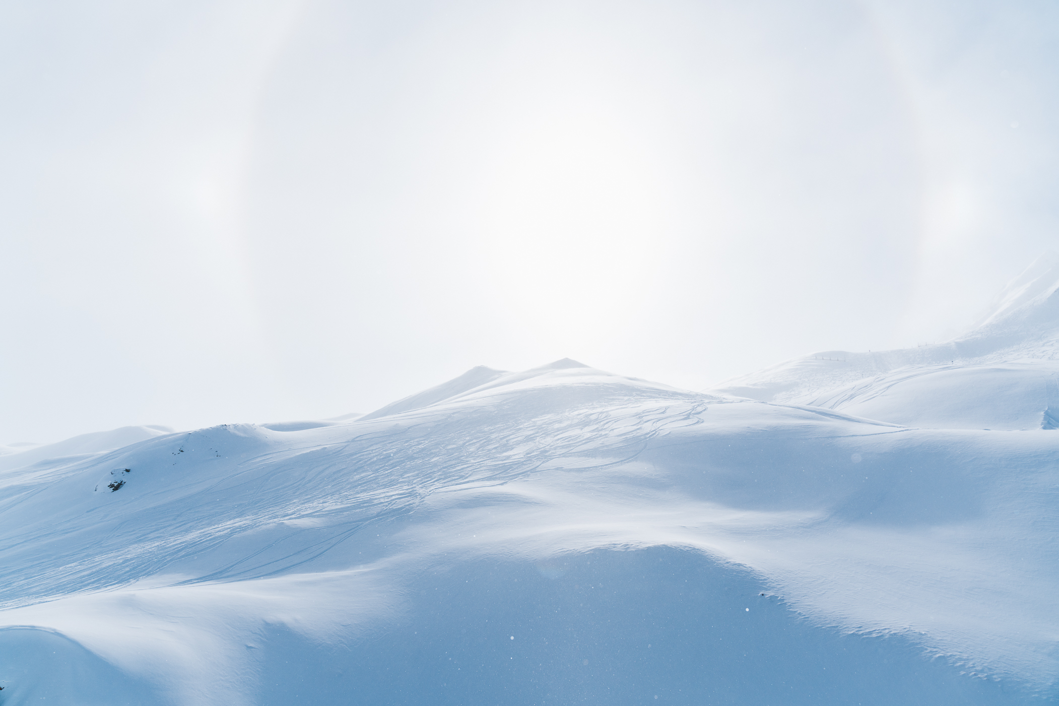 ApperStudio_Pol_tarres_blog_it_has_become_a_tradition_8