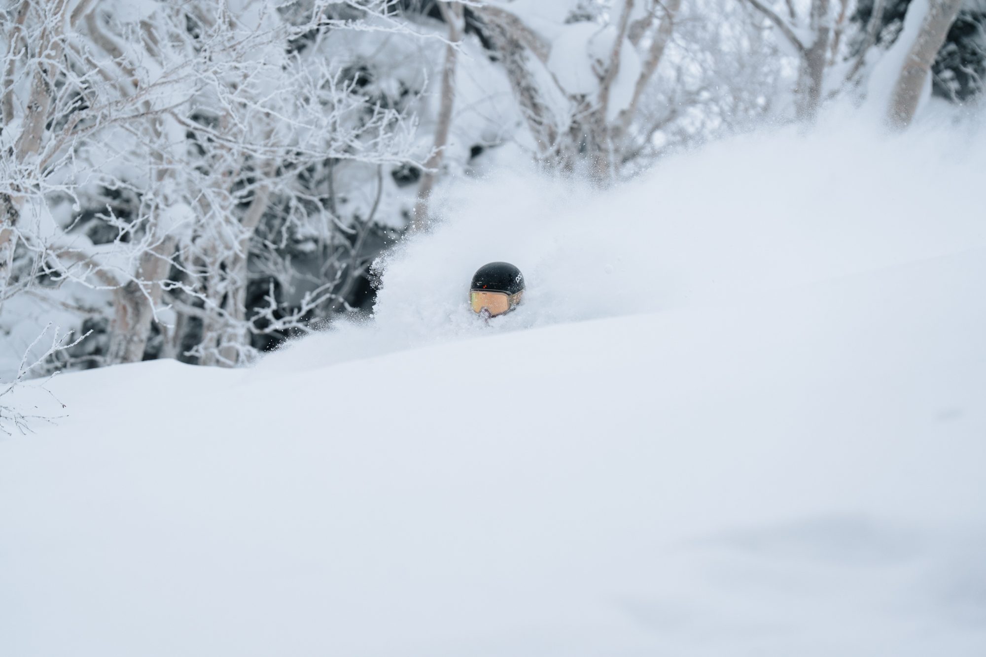 ApperStudio_Pol_Tarres_Blog_Hokkaido_26_35