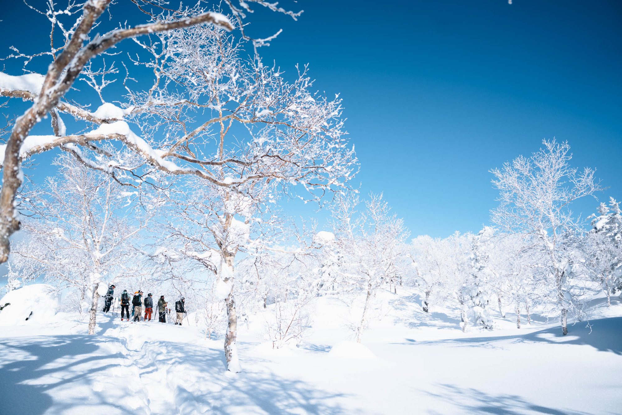 ApperStudio_Pol_Tarres_Blog_Hokkaido_26_47